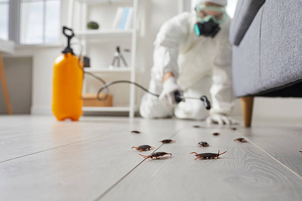 Trusted Fumigation Services service in Blue Ridge, GA - Nex Pest Control