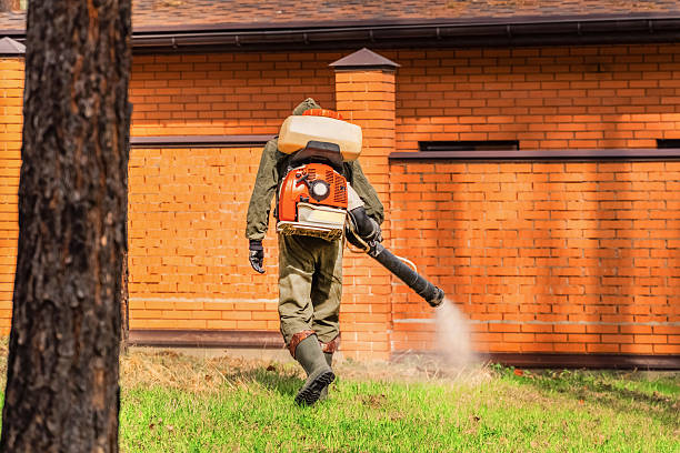 Trusted Bed Bug Control service in Blue Ridge, GA - Nex Pest Control